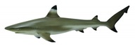 BLACKFIN REEF SHARK CollectA 88726