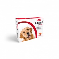 Antinol Sizarol Dog 120 kapsúl PRE KĹBY PSOV