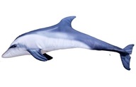 GABY vankúšik rybička DELFIN 125cm