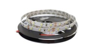 LED pás 300 SMD 2835 studená biela IP20 5m I-L