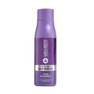 WELLNESS STRIEBORNÝ KONOPNÝ ŠAMPÓN 500ml PRE BLOND