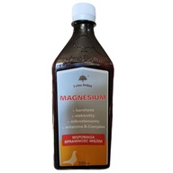 Leśna Dolina MAGNESIUM 500ML elektrolyty, horčík, karnitín, vitamín B