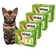 Kitekat Gefugel-Allerlei hydinové hody 48x85g