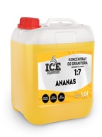 Granita sirup 5l ANANÁS, váha 6,7kg ANANÁS