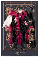 PLAGÁT HARRY POTTER A DYNASTIA HEDVIGY ANIME 61x91,