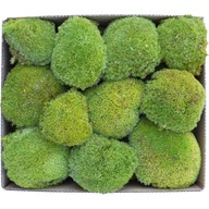 PREMIUM Cushion Moss Light Green Cardboard 150g