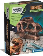 T-Rex Skull Fossils Science Fun Cleme