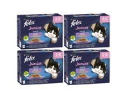 Felix Junior set 4 príchutí 48x85 g Nová receptúra