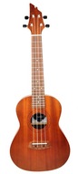 FLYCAT C10C KONCERT UKULELE + VZDELÁVACÍ KURZ ZA 0!