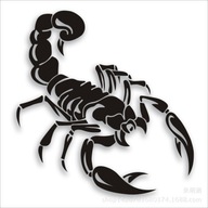 White Style 30CM Roztomilé 3D samolepky Scorpion Self