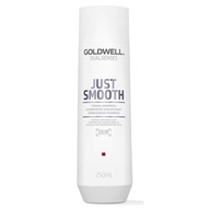 Goldwell Dualsenses Just Smooth Shampoo 250 ml