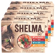 VLHKÉ KRMIVO PRE MAČKY 48X85G SHELMA FLAVOR MIX