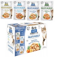 Brit Care Cat FJ Flavour Box v želé vrecúšku 12x85g