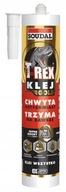 HYBRIDNÉ MONTÁŽNE LEPIDLO 290ML T-REX GOLD