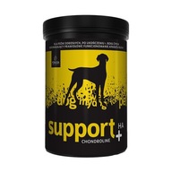 TEMPTATION ChondroLine Support +HA 350g PRE PSIE KĹBY