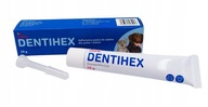 DENTIHEX DENTISEPT Zubná pasta pre psov a mačky 20g