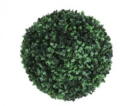 Buxusová guľa, buxus, dve polovice, 25 cm