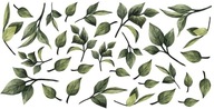 Samolepky na stenu Leaves leaves MEGA