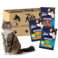 Felix Fantastic v želé Wiejskie Smaki 120x85G