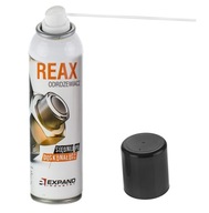 Expand REAX odstraňovač hrdze 250 ml sprej