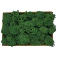 Chrobotek PREMIUM Moss Deep Dark Green 100g