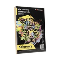 Farebný kopírovací papier A4 80g pastel mix (250)