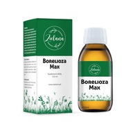 Lymská borelióza MAX 125ml Zelená