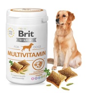 BRIT VITAMINS MULTIVITAMÍNOVÝ VITAMÍNOVÝ POKLAD PRE PSY PRE IMUNITU 150g