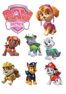 Potlač cukrovej pasty na tortu Paw Patrol pre dievčatko