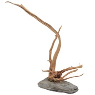 Red Moor Root on Stone Aquarium 23x17x10 R240