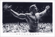 Plagát Arnold Schwarzenegger Bodybuilder 91,5x61 cm