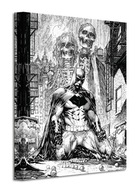 Fototapeta Obrazy DC Comics Batman Haunted Wall 30x40 cm