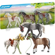 Playmobil 70683 Tri kone