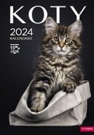 2024 NÁSTENNÝ KALENDÁR A3 MAČKY