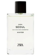 Pánsky parfém ZARA SOUL WINTER 90 ML