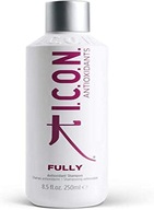 ICON antioxidants plne šampón 250ml