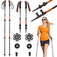 SADA PALICE NA NORDIC WALKING 2