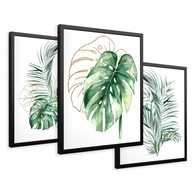 SET Zarámované obrazy plagáty listy monstera palmový zlatý triptych 43x99