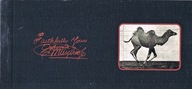 Flipbook Cinemagraph Muybridge - The Camel