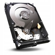 DISK PRE SEAGATE BARRACUDA SERVER 1TB 3,5'' 64MB