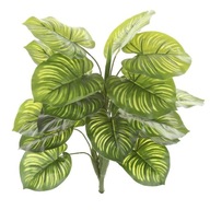 umelé Calathea Calathea 45 cm veľké listové listy