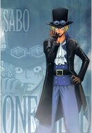 Anime Manga One Piece plagát op_017 A2 (vlastné)