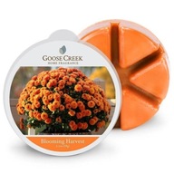 Vosk s vôňou Blooming Harvest Goose Creek Candle