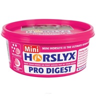 HORSLYX Pro Digest vitamínový liz 650g PRE KONE S VREDOVMI