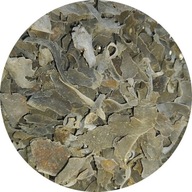 Fucus thallus 250g Jaga's Herbarium