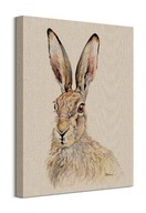 Obraz na plátne Jane Bannon Hare 40x50 cm