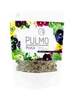 PULMO | PĽÚCA 100g – Prírodné bylinky