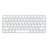 Apple Magic Keyboard US-PL MACBOOK Bezdrôtová Bluetooth USB-C klávesnica