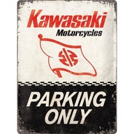 Plagát 30x40 Kawasaki Parkin Only