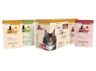 CATZ FINEFOOD MOKRÉ KRÍDLO PRE CATZ, MIX CHUTÍ